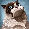 Аватар пользователя admin