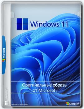 Windows 11 [10.0.22000.493], Version 21H2 (Updated February 2022) -    Microsoft MSDN