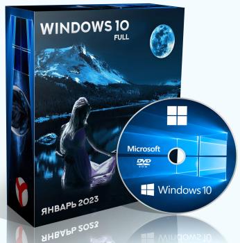 Windows 10 Pro 22H2 19045.2486 Full by WebUser